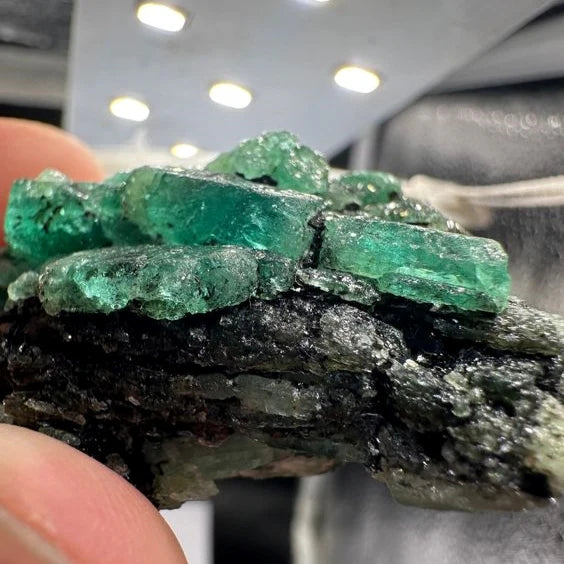 Emerald Stone-Morrallas